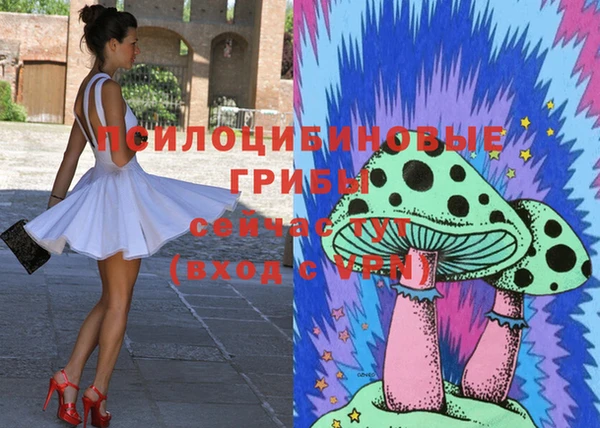 синтетический гашиш Арсеньев