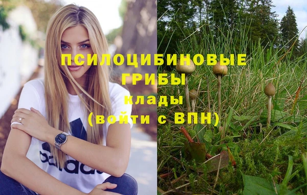 синтетический гашиш Арсеньев