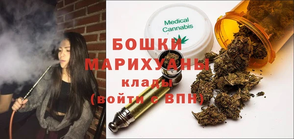 шишки Нягань