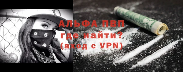 спиды Аркадак