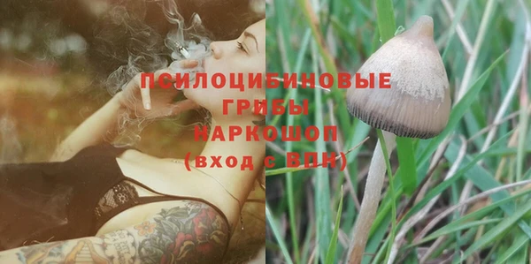синтетический гашиш Арсеньев