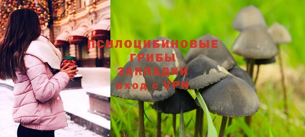 трава Армянск
